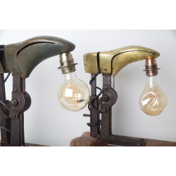 Les formes associées.